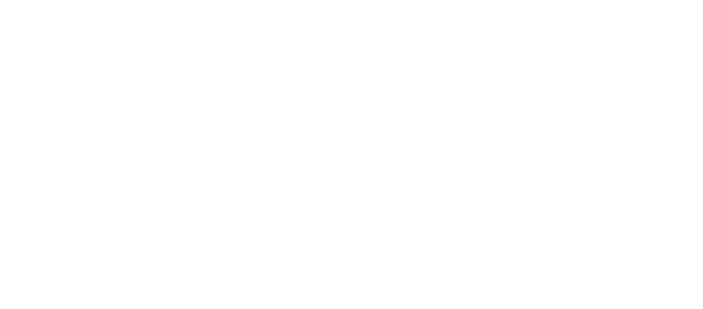 LYMELIGHT-FOUNDATION-LOGO