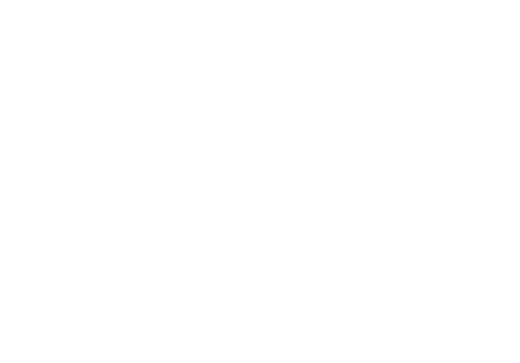 PROJECT LYME LOGO